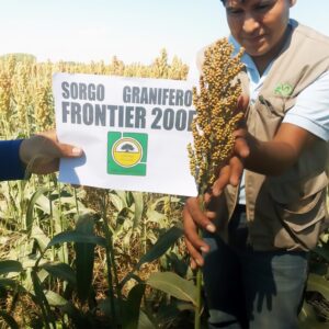 SORGO 200E (20KG)